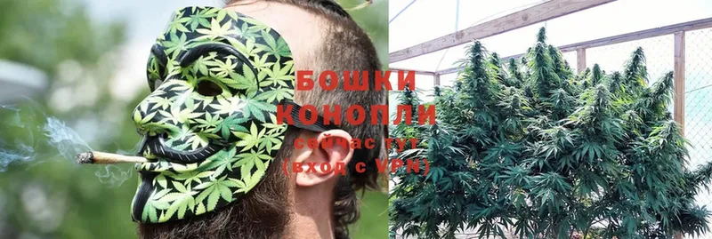 Бошки Шишки SATIVA & INDICA  hydra зеркало  нарко площадка какой сайт  Орск 